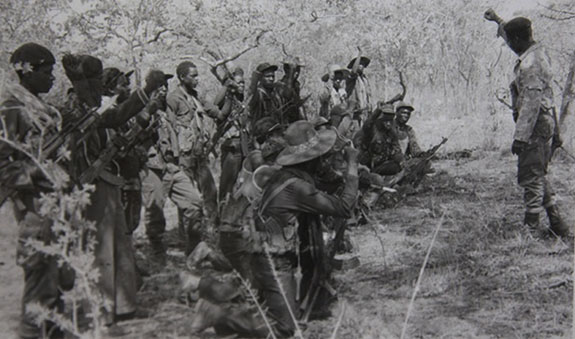 Lest we forget: Freedom has a memory