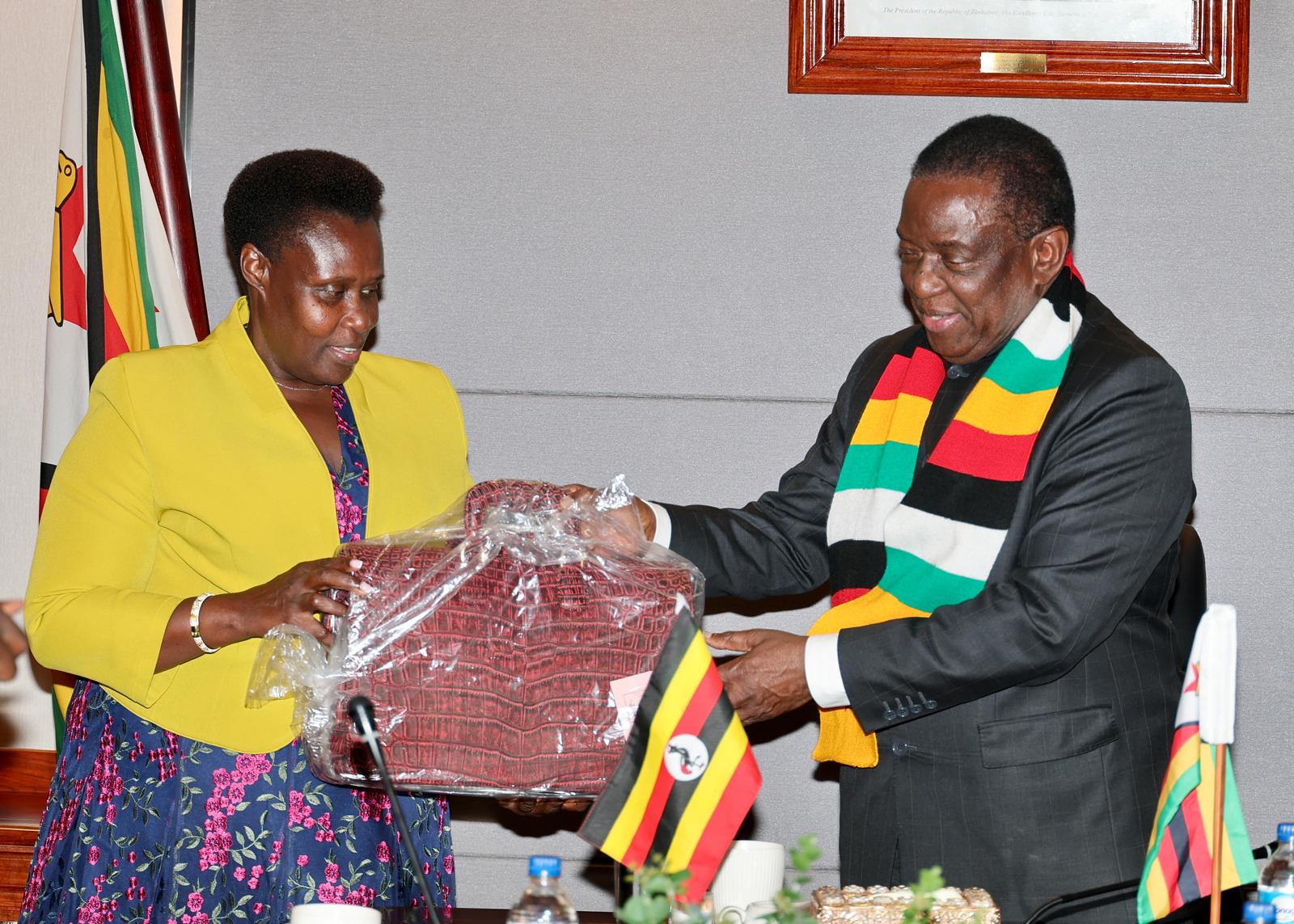 President to launch Zimbabwe Review Report