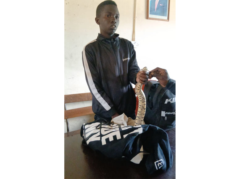 Kanodaweta with the snakes