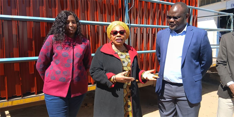 Invictus Steel Africa in Mutare