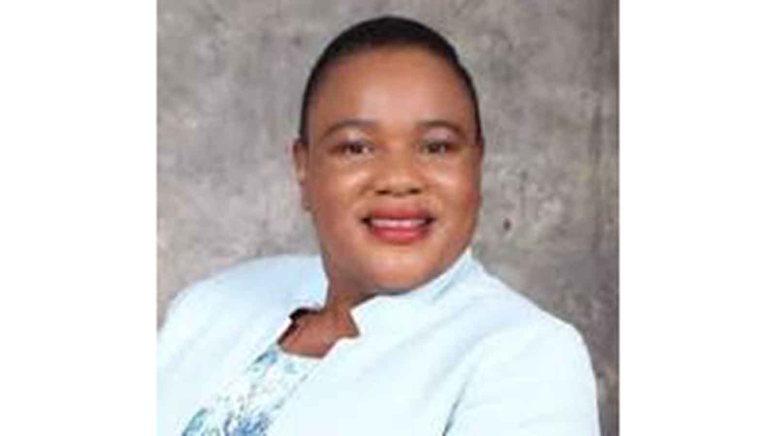 ZINWA starts prepaid water meter roll-out in growth points