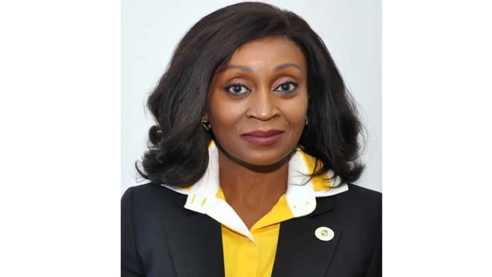 The African Civil Aviation Commission (AFCAC) delegation hails Zim aviation