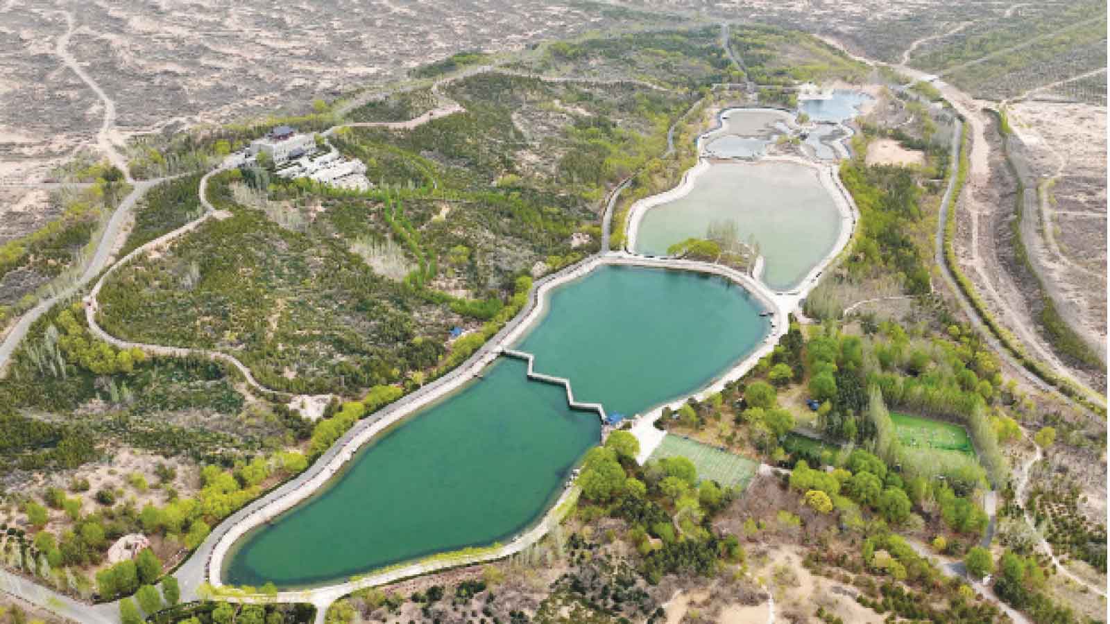 China’s Baigetan desert transformation offers lessons for Zim