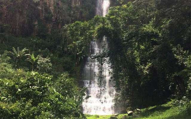 The new-look Bridal Veil
