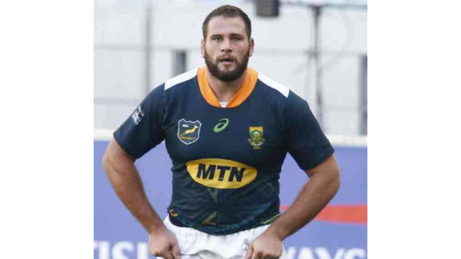 Boks unleash brutality on England