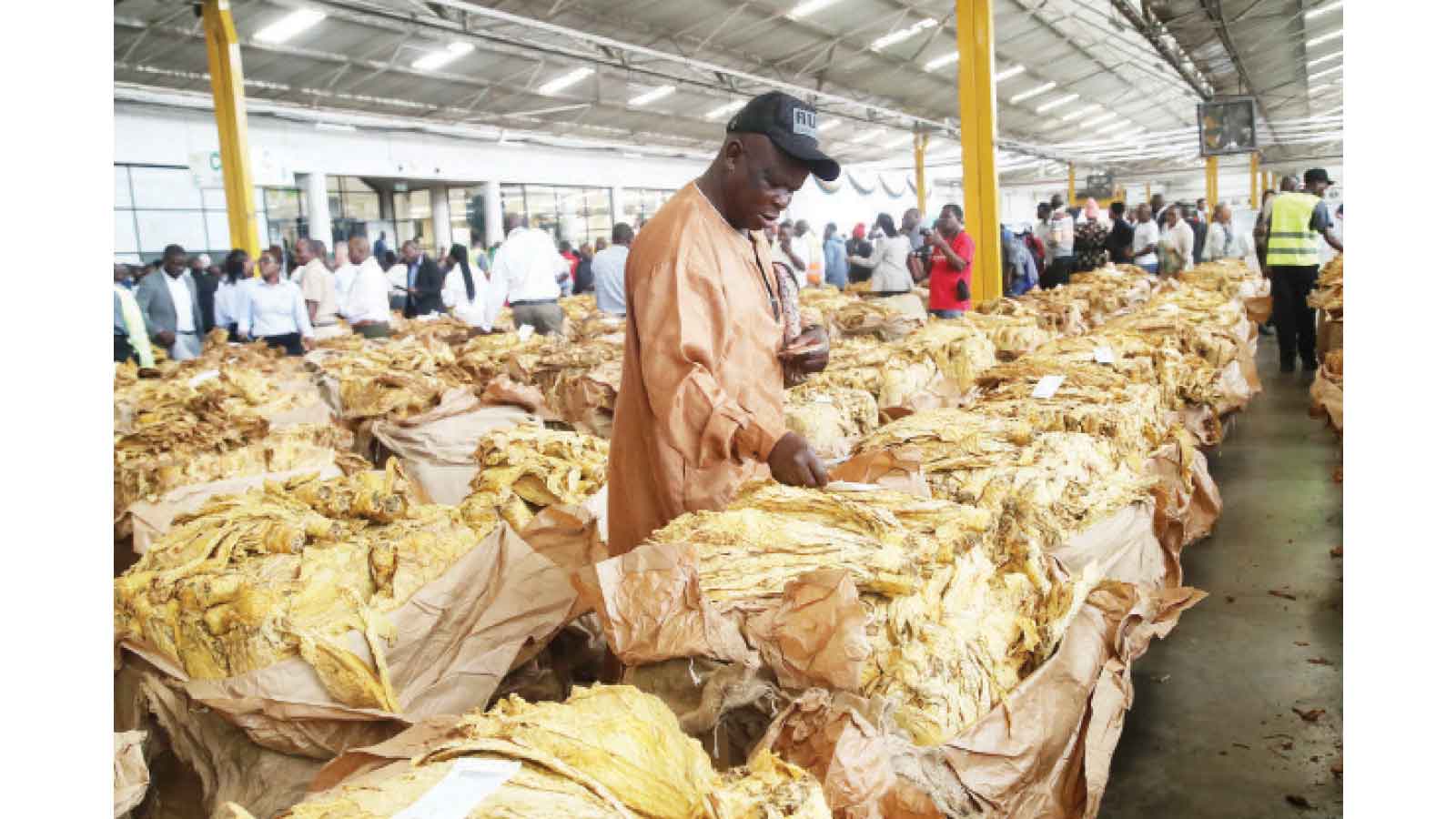 Sweet harvests, bitter returns: Has tobacco industry reached a turning point?