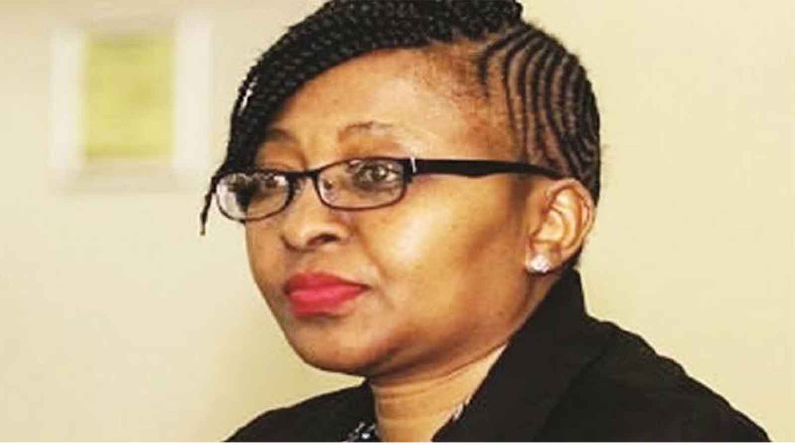 Bulawayo hosts AfDB mission to review women, youths projects