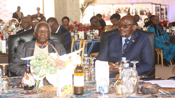 Government committed to preserving liberation heritage: VP Mohadi