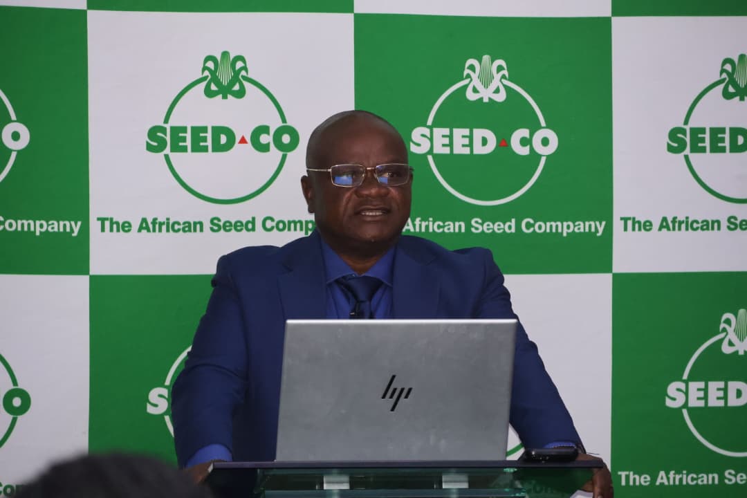 Seed Co launches new white wheat varieties to cut Zimbabwe’s wheat imports