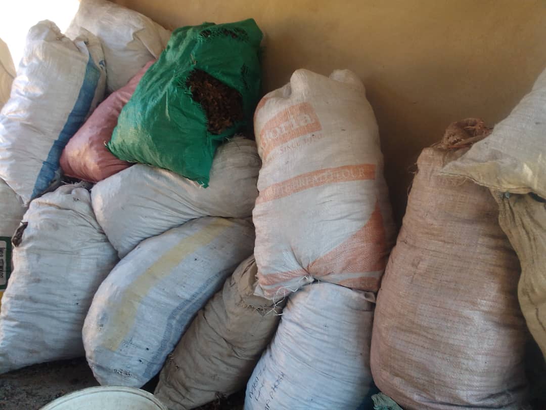 Umzingwane communities turn to wild fruits to beat drought & earn income