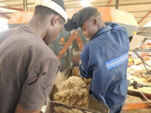 Own feed formulation at George Moss Feedlot