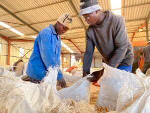 Own feed formulation at George Moss Feedlot