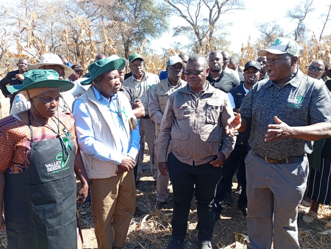 Umguza couple inspire Intwasa revolution with bumper harvest