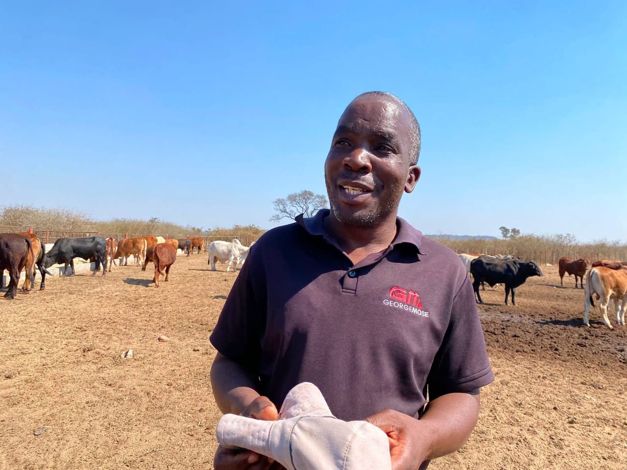 Umguza feedlot transforms livestock production