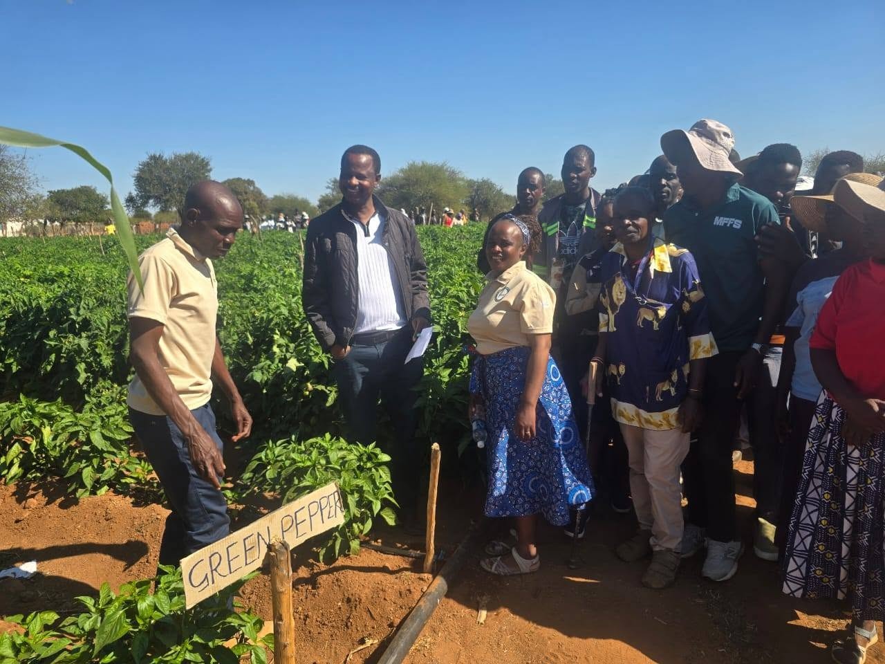 Gwanda South MP urges farmers to embrace commercial agriculture