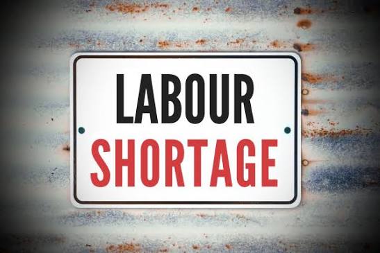 Sugar cane growers on KZN north coast hit by labour shortage as foreign workers leave