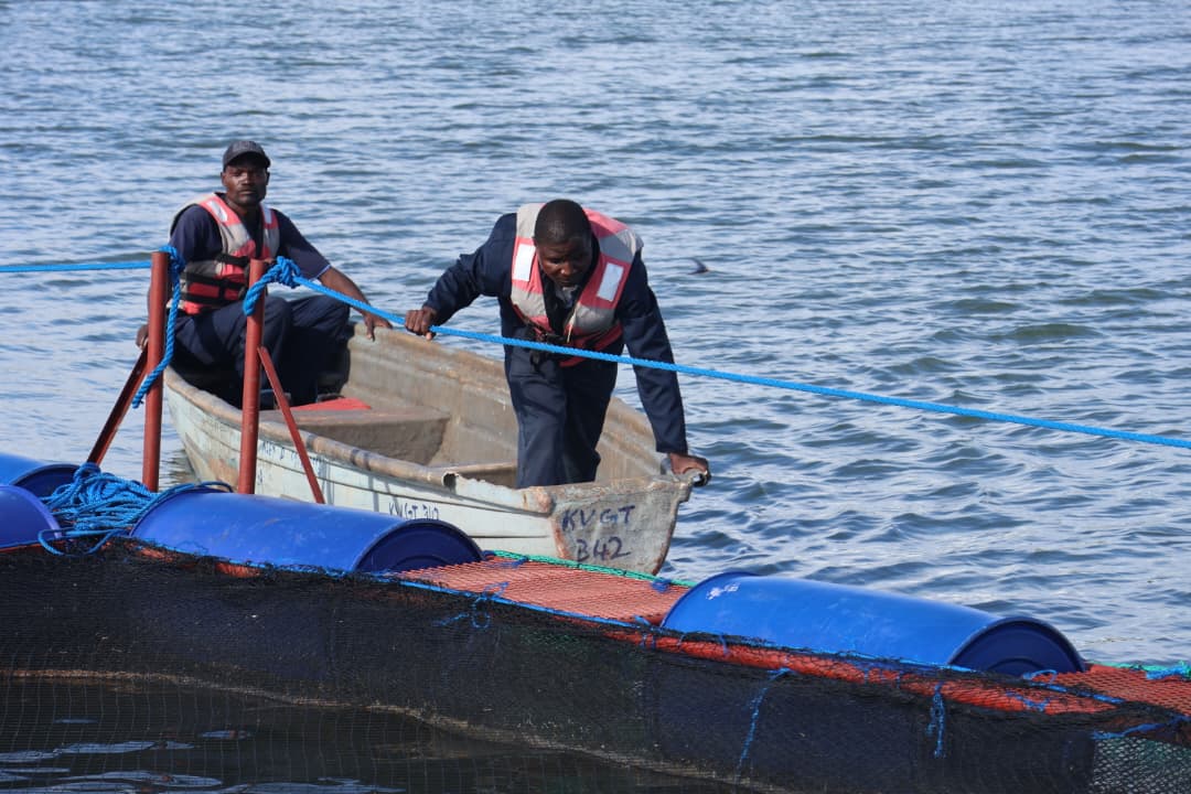 Danish aquaculture technology heads to Zimbabwe