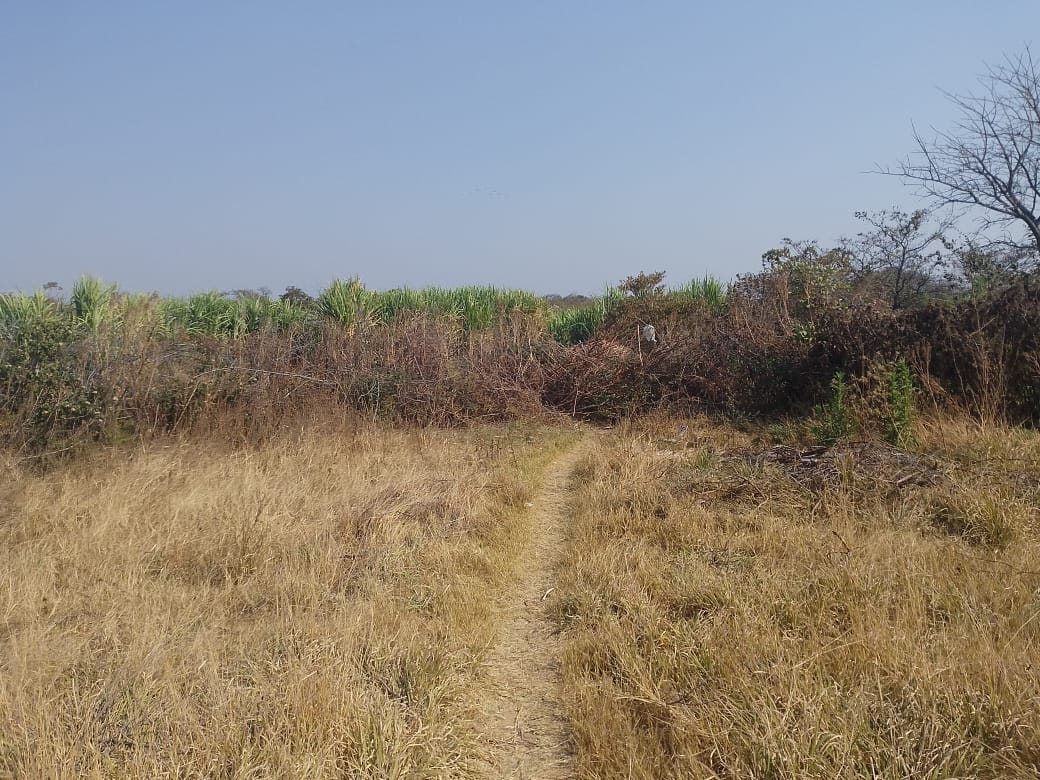 South Africa returnee found dead in Pumula North well, family suspects foul play