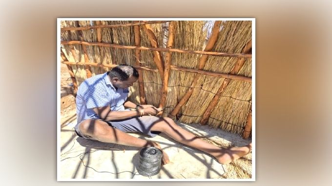 Between the scalpel and the cattle kraal! . . . a day in the rural life of Prof Solwayo Ngwenya