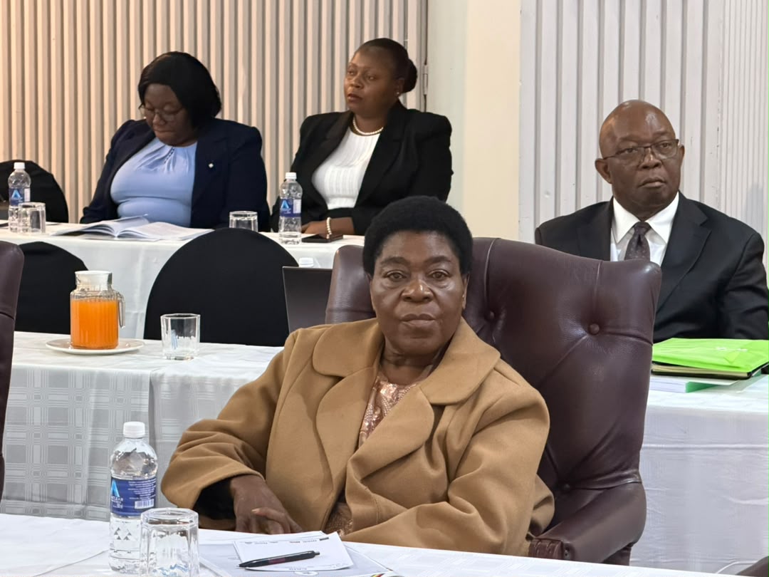 Parliament’s decentralised workshops boost Bulawayo economy, tourism