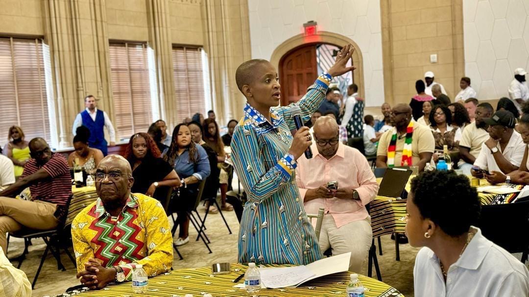 WATCH: Diaspora urged to channel remittances into tourism investments