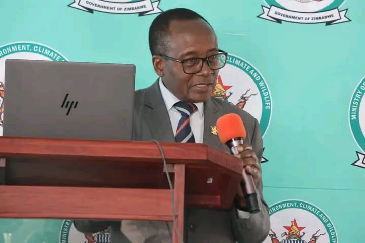 Stakeholders push for transparent, inclusive carbon markets