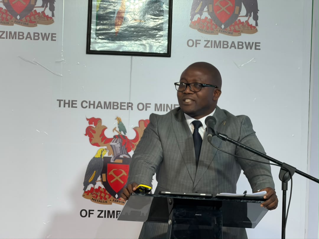 Green energy transition demands industrial rethink – Minister Ndlovu