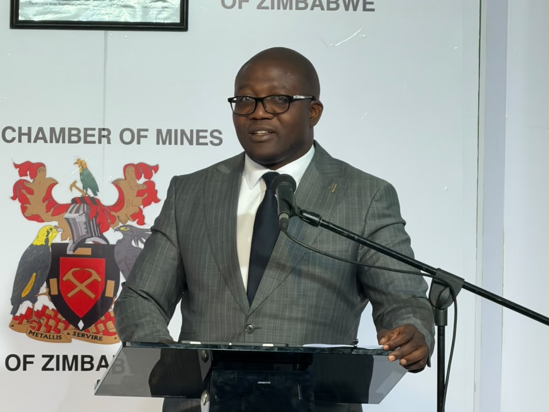 WATCH: 85pc local procurement presents major industrialisation opportunity: Minister Ndlovu