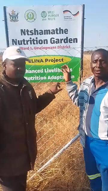 Umzwingwane Youths turn idle hours into income