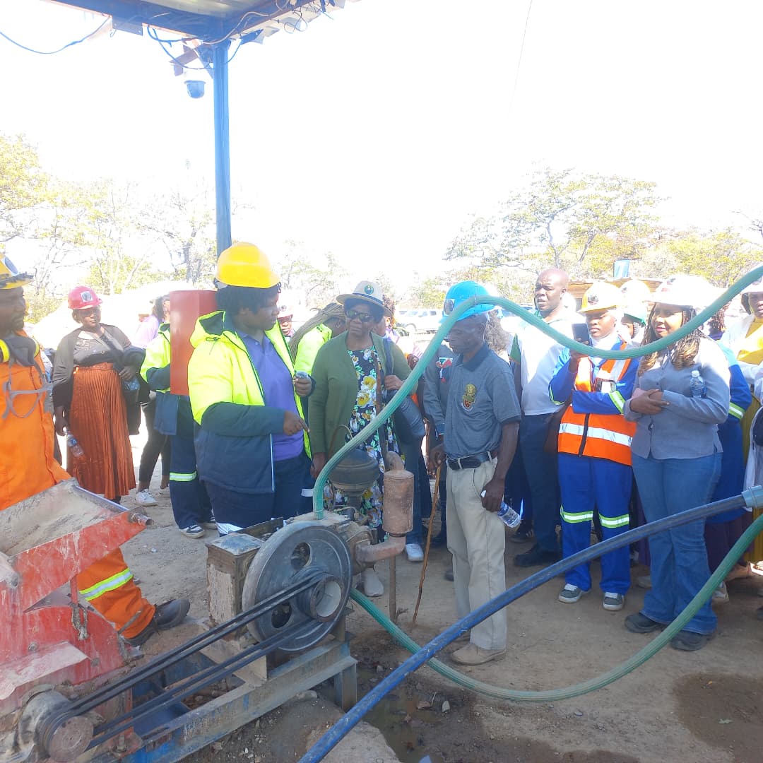 Miners touring Asiphileni Gold Mine in Kenilworth, Ward 19 of Bubi District, Matabeleland North on Wednesday