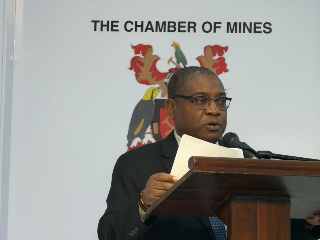 WATCH: Beneficiation key to unlocking mining’s full potential: Chamber of Mines