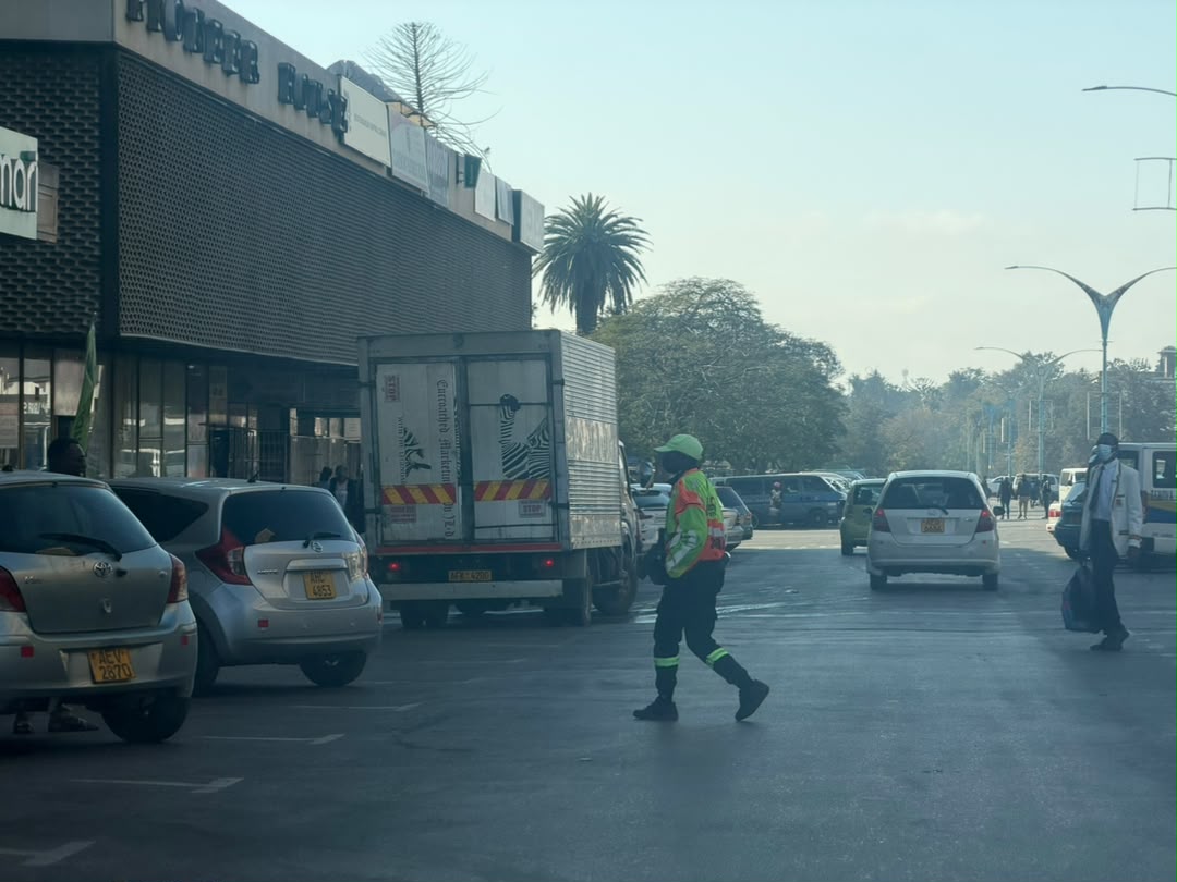 Bulawayo remains calm as residents ignore illegal protest calls