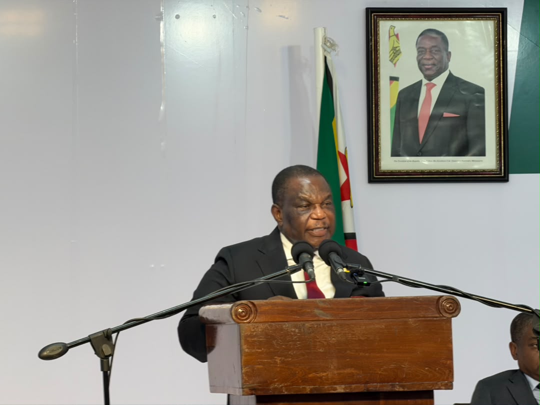 Mine Entra embodies Second Republic’s consultative governance: President