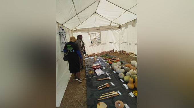 Climate-smart farming, value addition take centre stage at the Insiza Agricultural Show