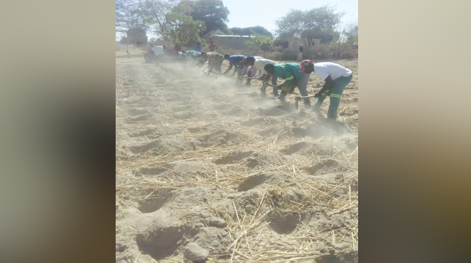 Fully embrace Pfumvudza/Intwasa, Umzingwane farmers urged