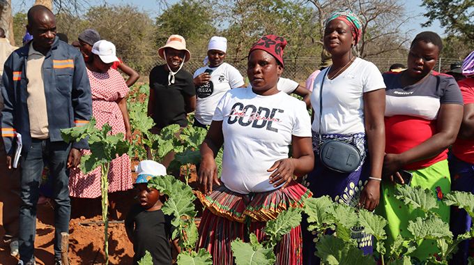 Gamechanger! . .Village Business Units changing rural landscape in Matabeleland South