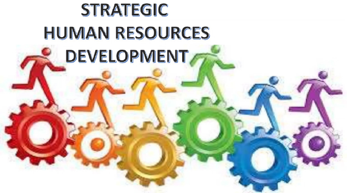 Strategic human resources development: The key to institutional resilience