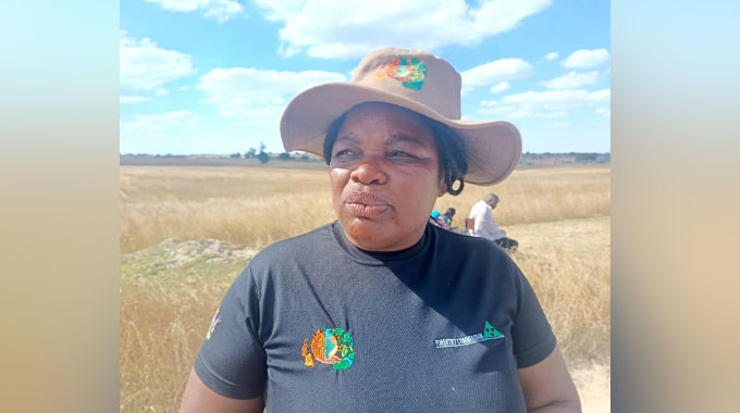 From bare land to hope: How Poshayi is greening Shurugwi