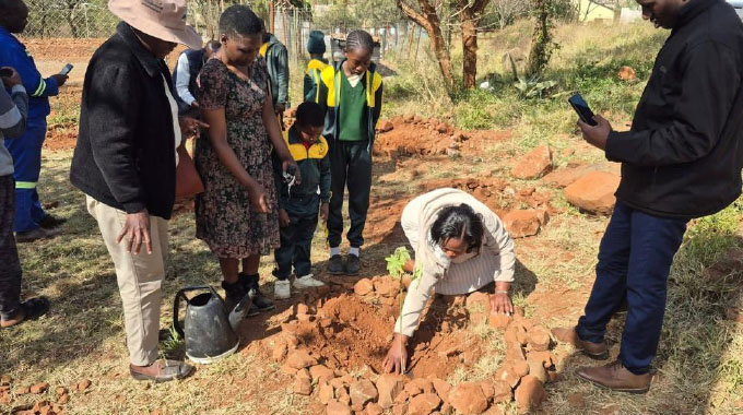 Mat South’sbattle against desertification: Vanishing grazing lands threaten livestock economy