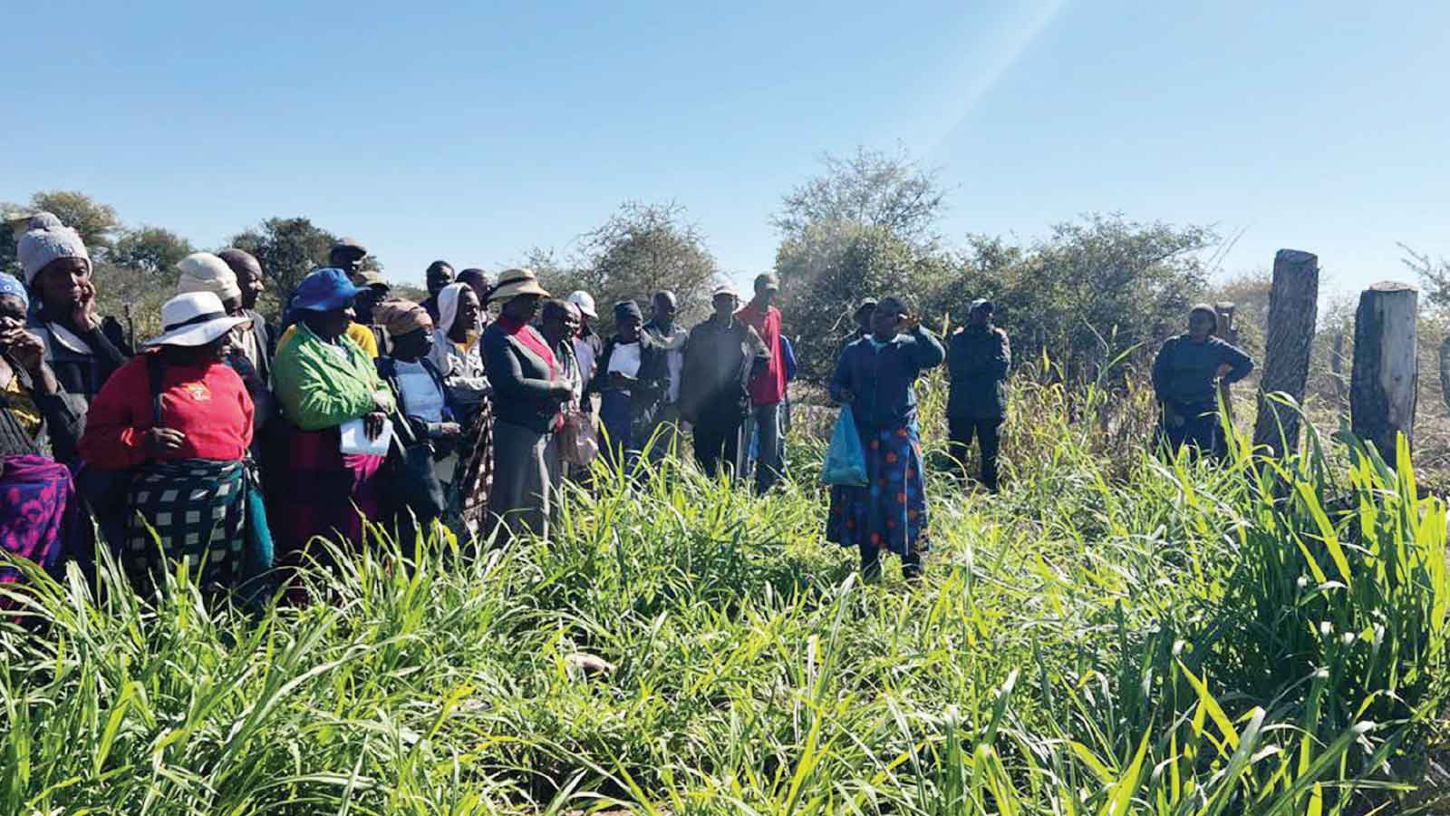Farmers urged to prepare for El Niño
