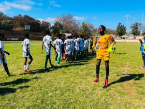 Young Flying Stars Sports Academy Under-20s