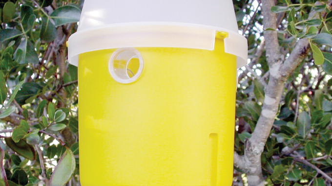 Vikelani izilimo ku-Fruitfly