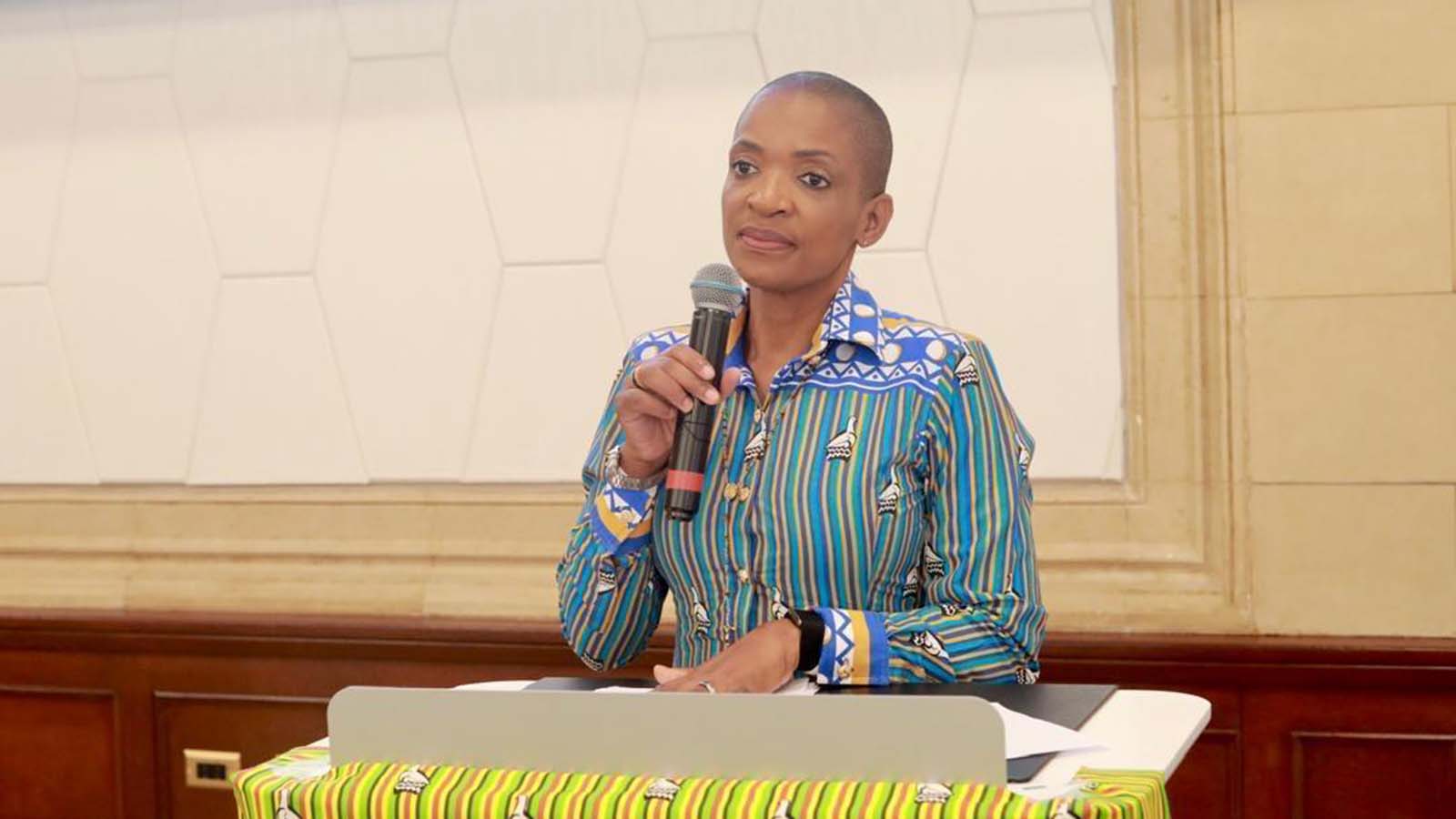US-based Zimbabweans eye investment opportunities in the tourism sector
