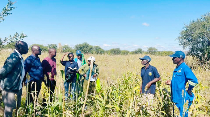 Abalimi beMatobo bafundiswa ukulungisa lokugcina ukudla