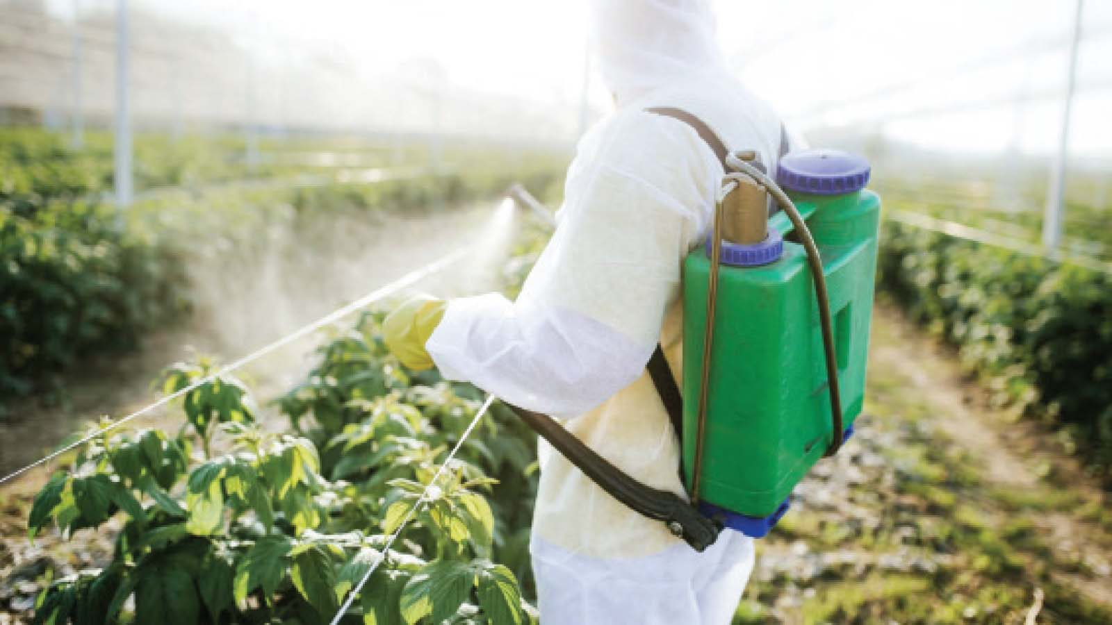 Why traceability must begin at home