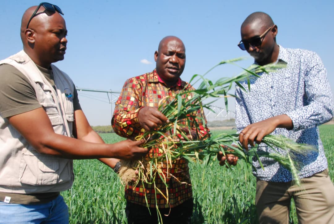 ARDA model removes barriers to commercial farming