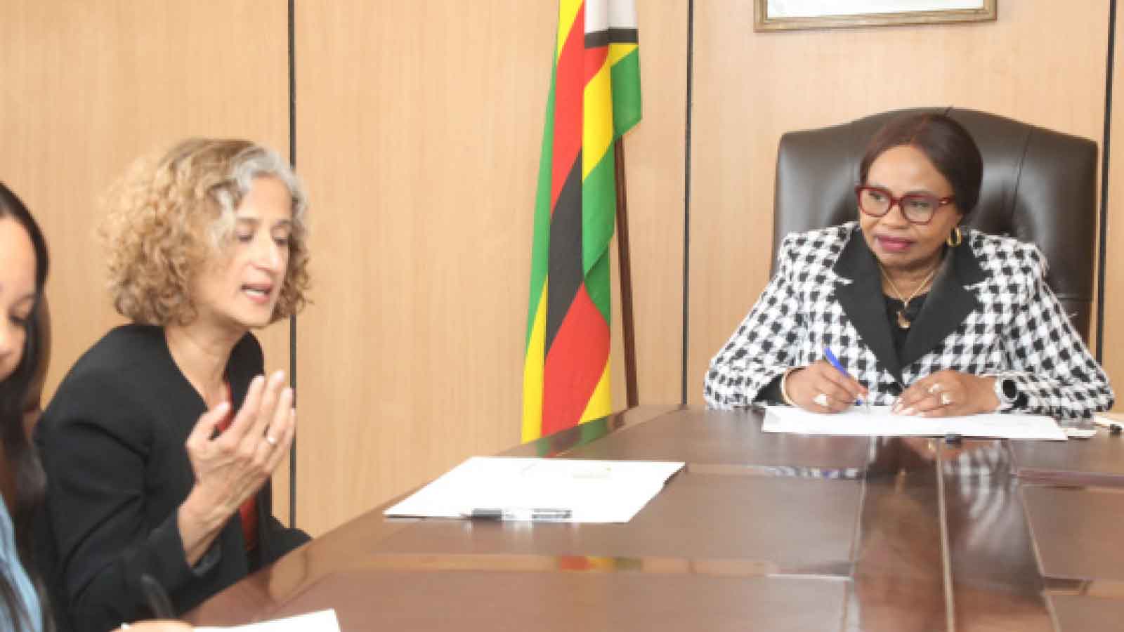UN commends Zim’s efforts to advance gender equality