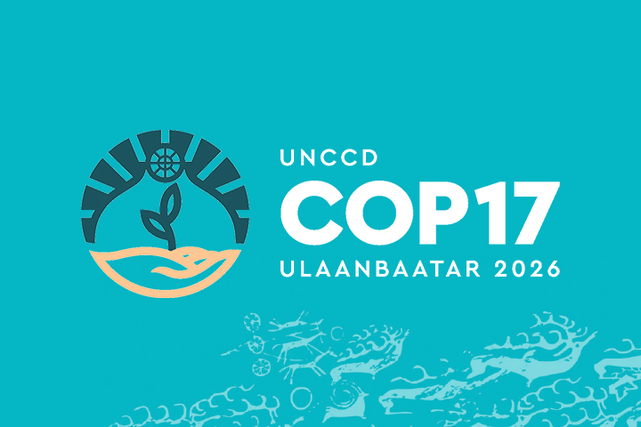 Zimbabwe pushes drought protocol, climate financing at COP17