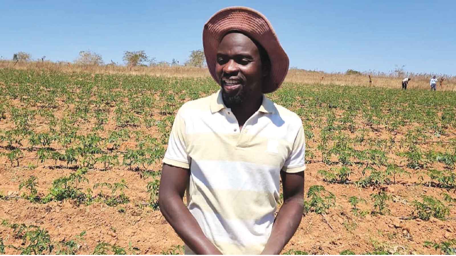 Marketing graduate is cultivating new vision in Zim’s agriculture sector