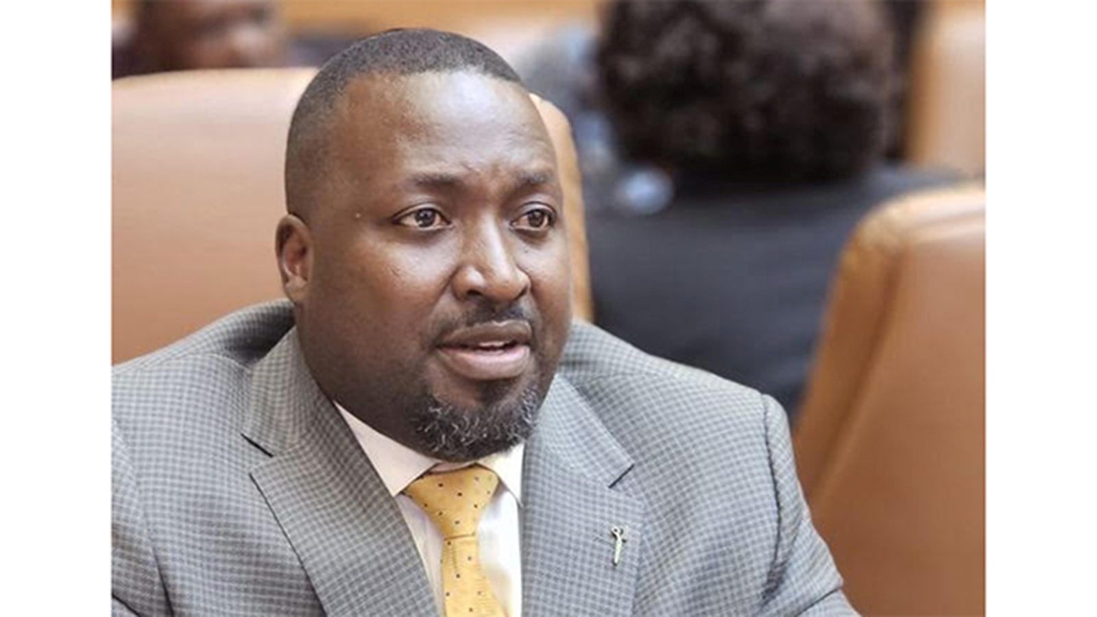 Senate ratifies convention establishing International Organisation for Mediation